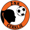 ZNK谢柯杰女足 logo