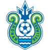 湘南丽海U18 logo